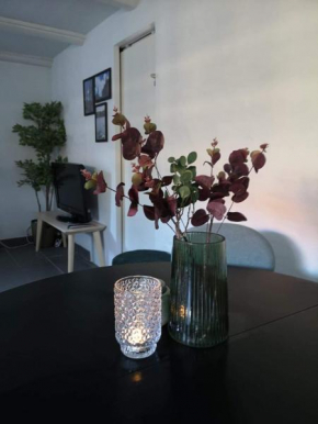 Spacious Cellar Apartment in Hvidovre Kommune